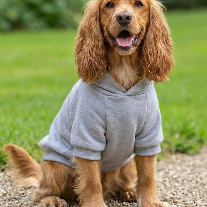 Dog’s hoodie Thumbnail